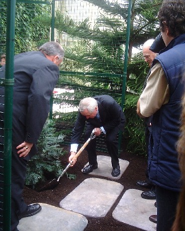 The Wollemi pine is planted by An Taoiseach Bertie Ahern
